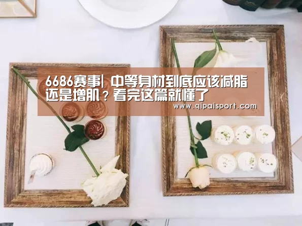 6686赛事