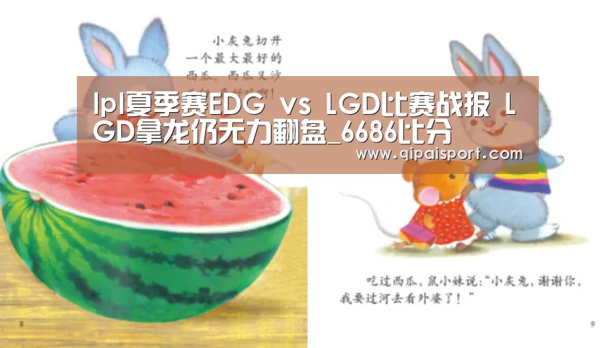 6686赛事