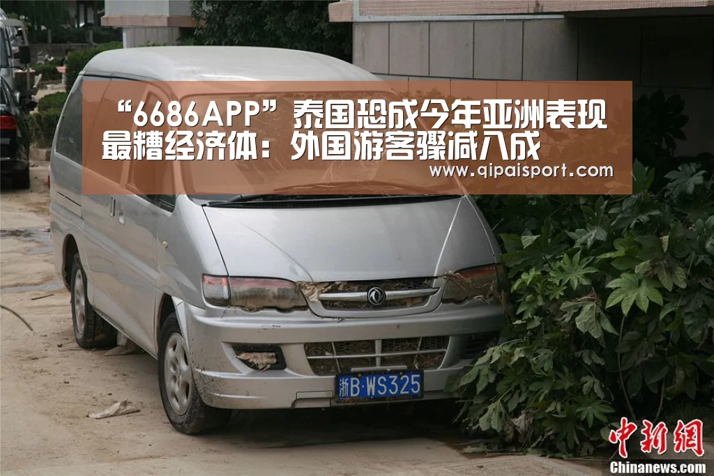 6686比分