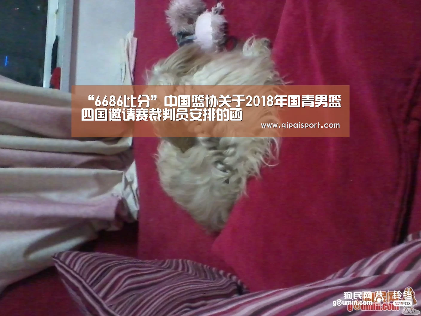6686推荐